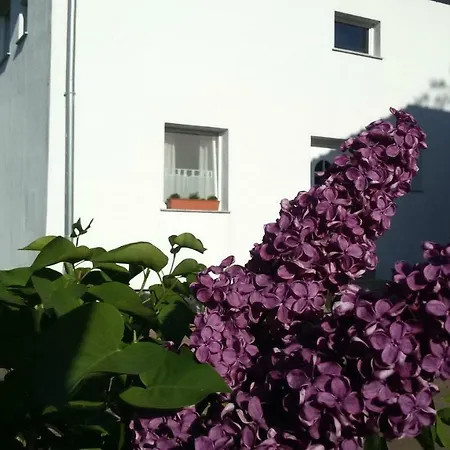 Drifthof